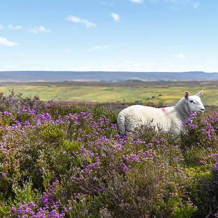 Heather View Ferienhaus Rosedale Abbey
